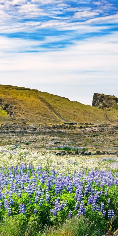 Scenic Stop Near Keflavik