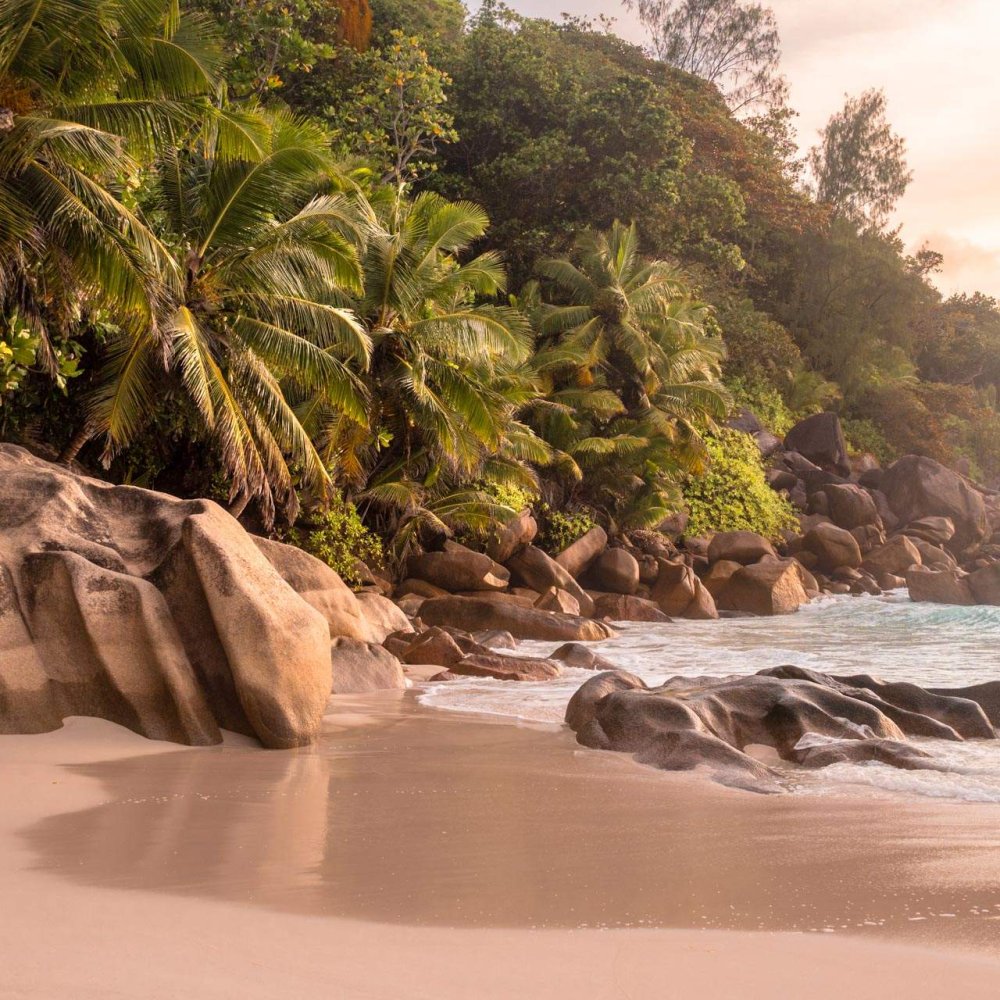 Embark on an Unforgettable Road Trip Around Praslin, SC: Routes, Tips & Hidden Gems