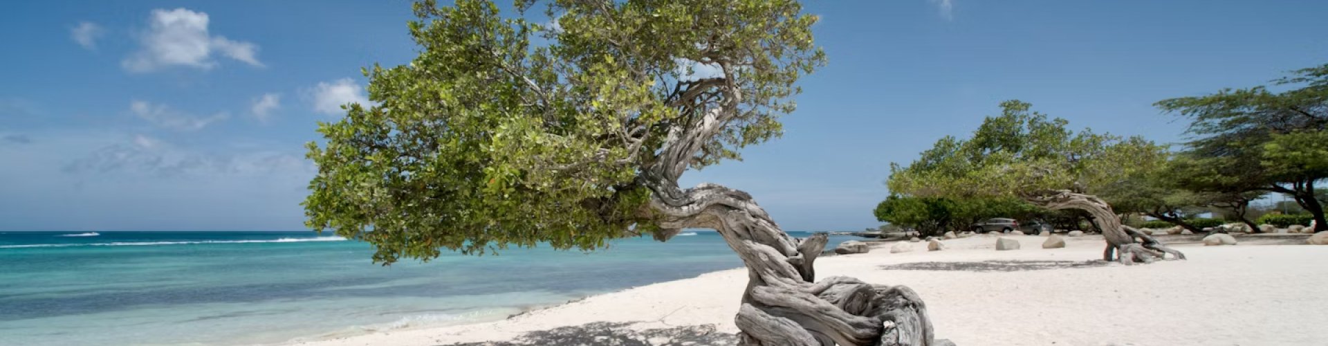 Aruba, AW