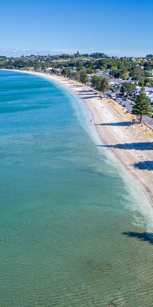 Scenic roadside stop near Auckland, NZ