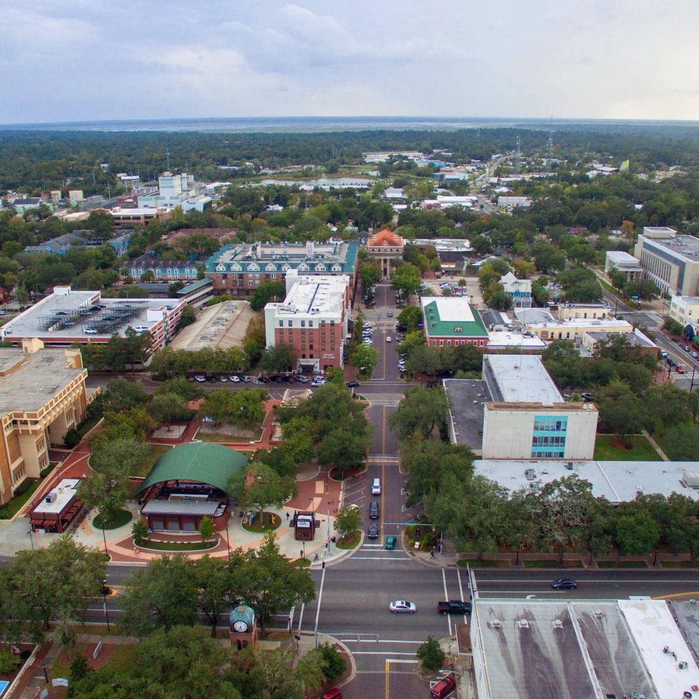 Ultimate Guide to Planning a Memorable Road Trip Around Gainesville, FL, US