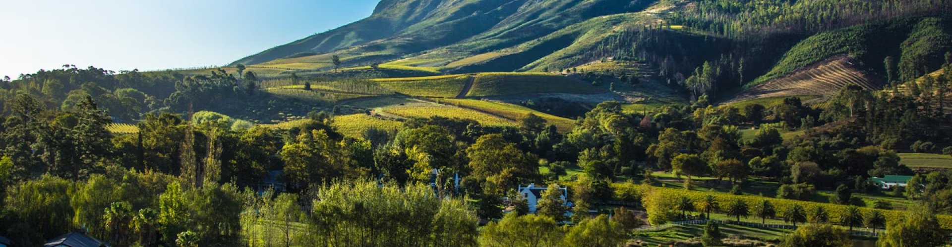 Sunset over Stellenbosch vineyards