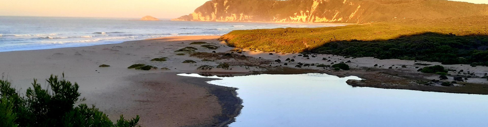 Road Trip Landscape Near Sedgefield, ZA