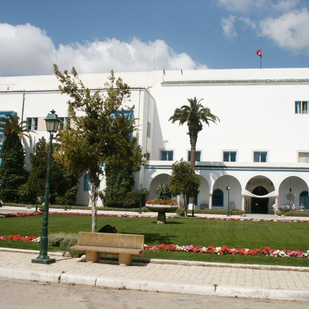 The Ultimate Guide to Planning a Road Trip Around Le Bardo, TN