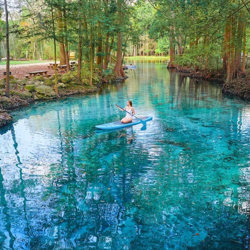 Embark on the Ultimate Road Trip Around High Springs, FL, US: Routes, Tips & Must-See Gems