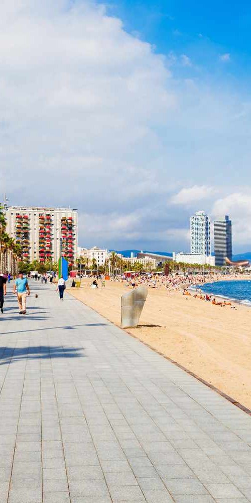 Public Transport Alternative