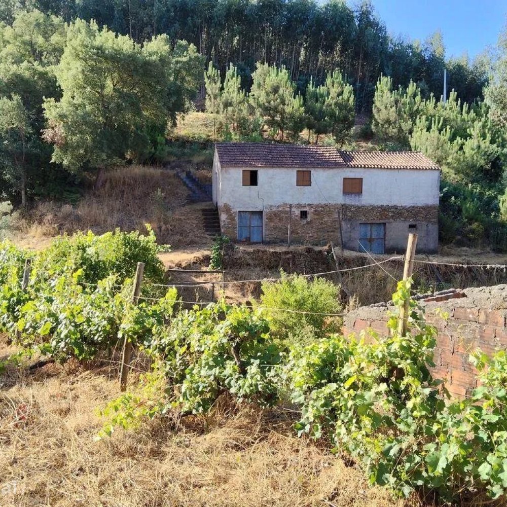 Ultimate Guide to Planning a Road Trip Around Madeirã, PT: Routes, Tips & Hidden Gems