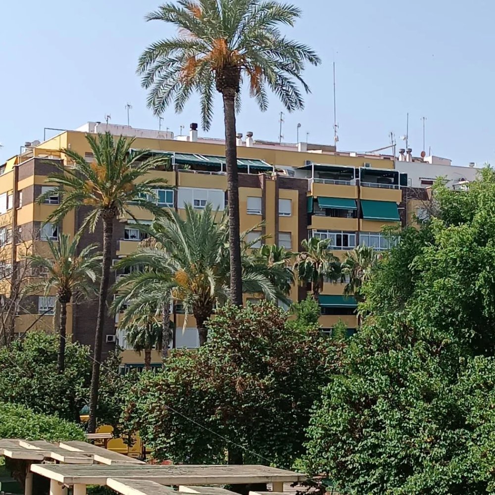 Your Ultimate Guide to a Road Trip Around Molina de Segura, ES: Routes, Tips & Hidden Gems