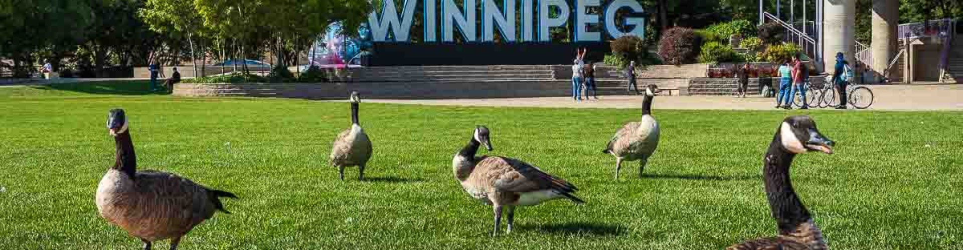 Sunset road near Winnipeg